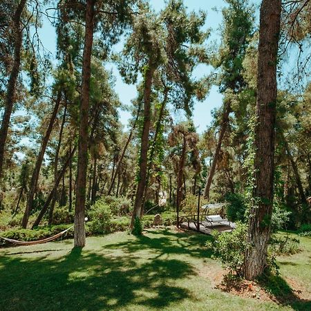 Beautiful Summerhouse In Sani'S Pine Forest Sani (Chalkidiki) Exterior foto