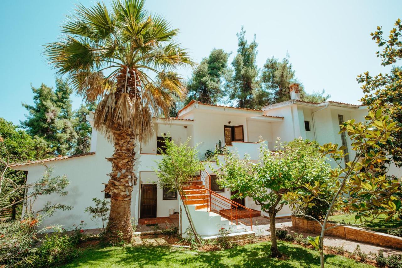 Beautiful Summerhouse In Sani'S Pine Forest Sani (Chalkidiki) Exterior foto