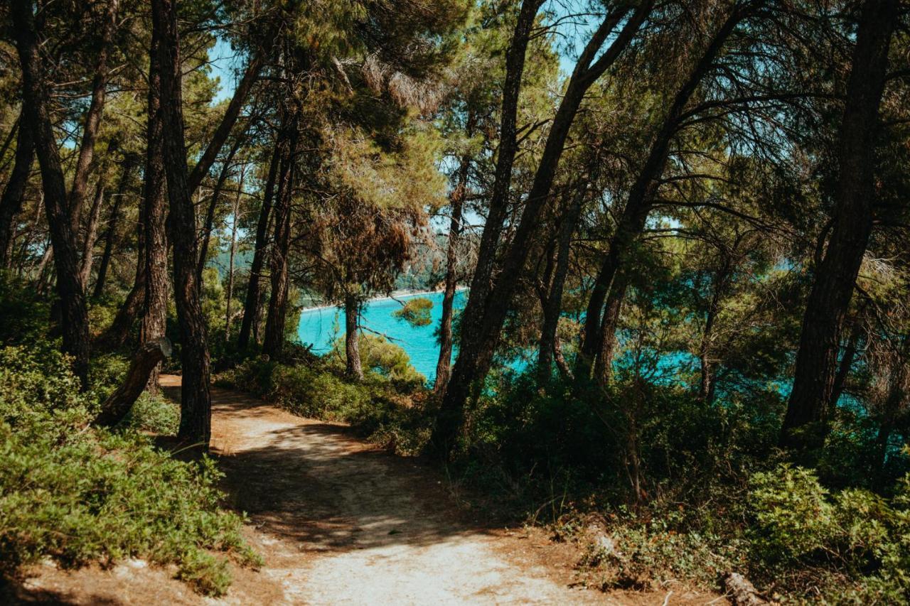 Beautiful Summerhouse In Sani'S Pine Forest Sani (Chalkidiki) Exterior foto