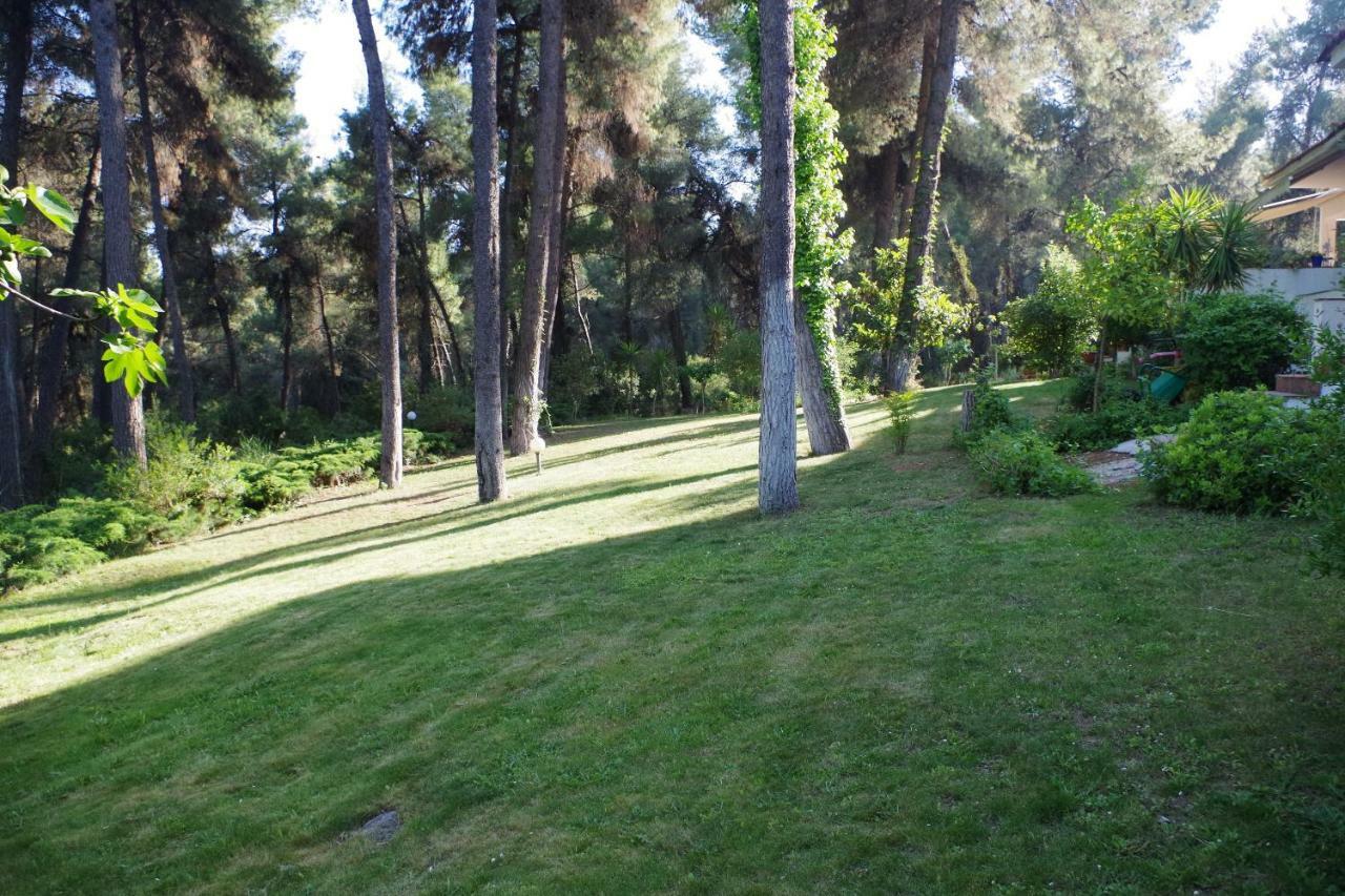 Beautiful Summerhouse In Sani'S Pine Forest Sani (Chalkidiki) Exterior foto